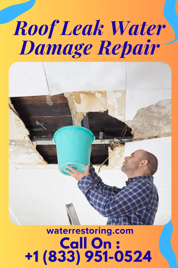 Roof Leak Water Damage Repair in Carson City, NV